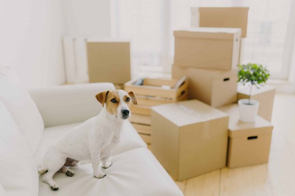 What Are the Elegant Alternatives to High Heels for a Full Day of Meetings?